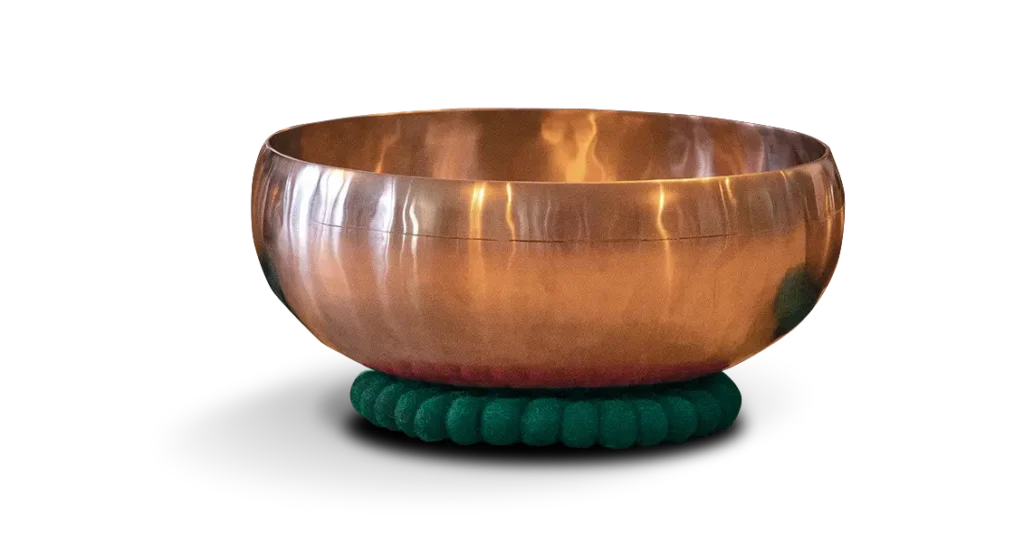 MedIVeda-CarlaCorreia-Taca-PeterHess